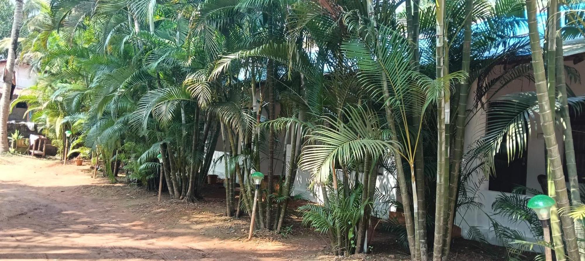 Casa Beach Hut Resort 帕罗林 外观 照片